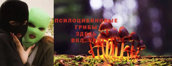 Альфа ПВП Алексин