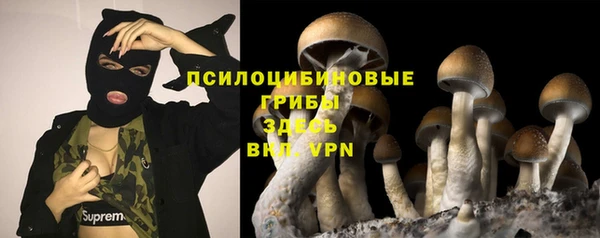 гашиш Аркадак