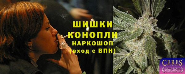 сатива Новокубанск