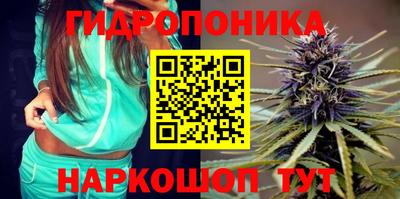 не бодяженный Камышлов
