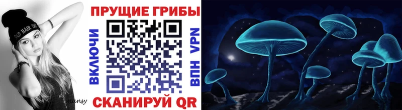 где купить наркоту  Обнинск  MEGA ONION  Галлюциногенные грибы Psilocybe 